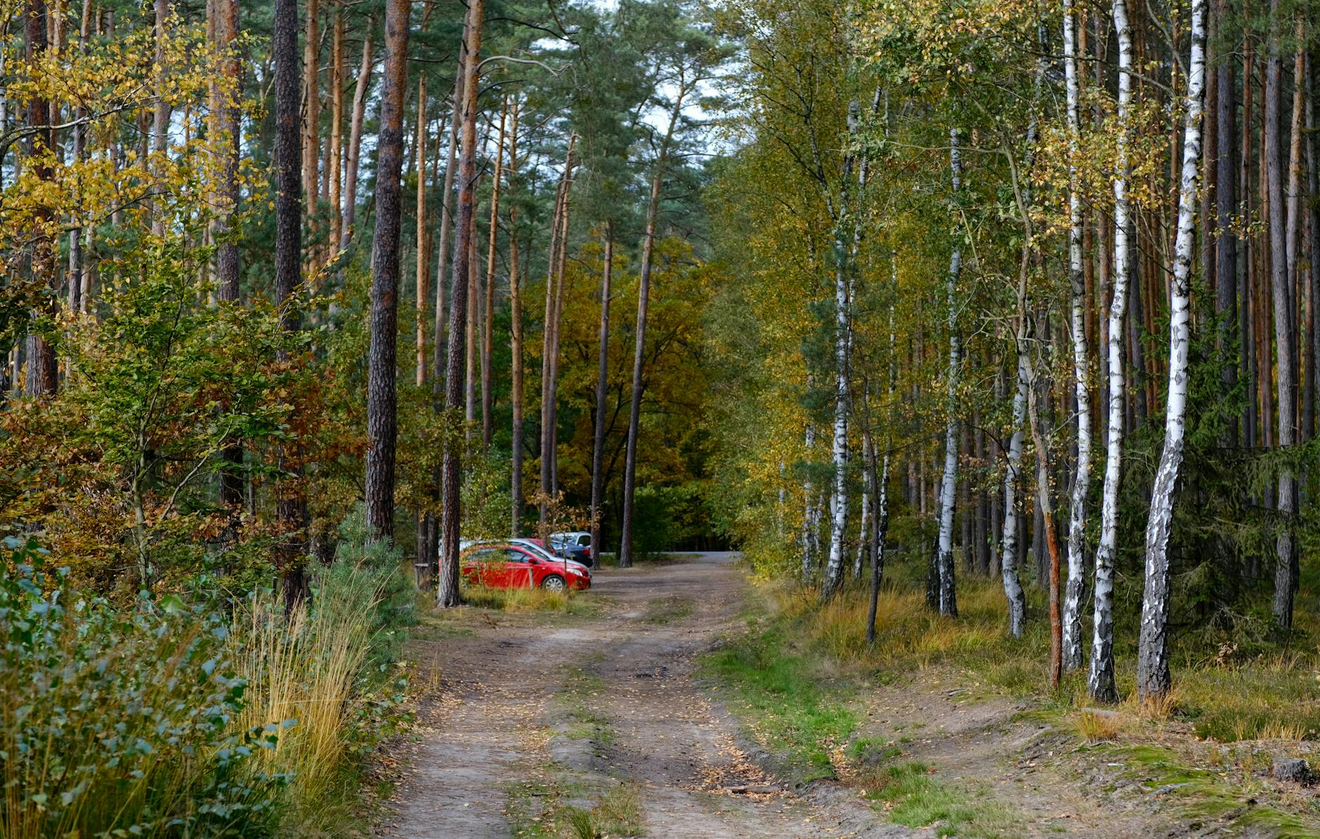 Mapa Szczecina z zaznaczonymi placówkami medycznymi, ilustrująca kolejki do specjalistów w Szczecinie