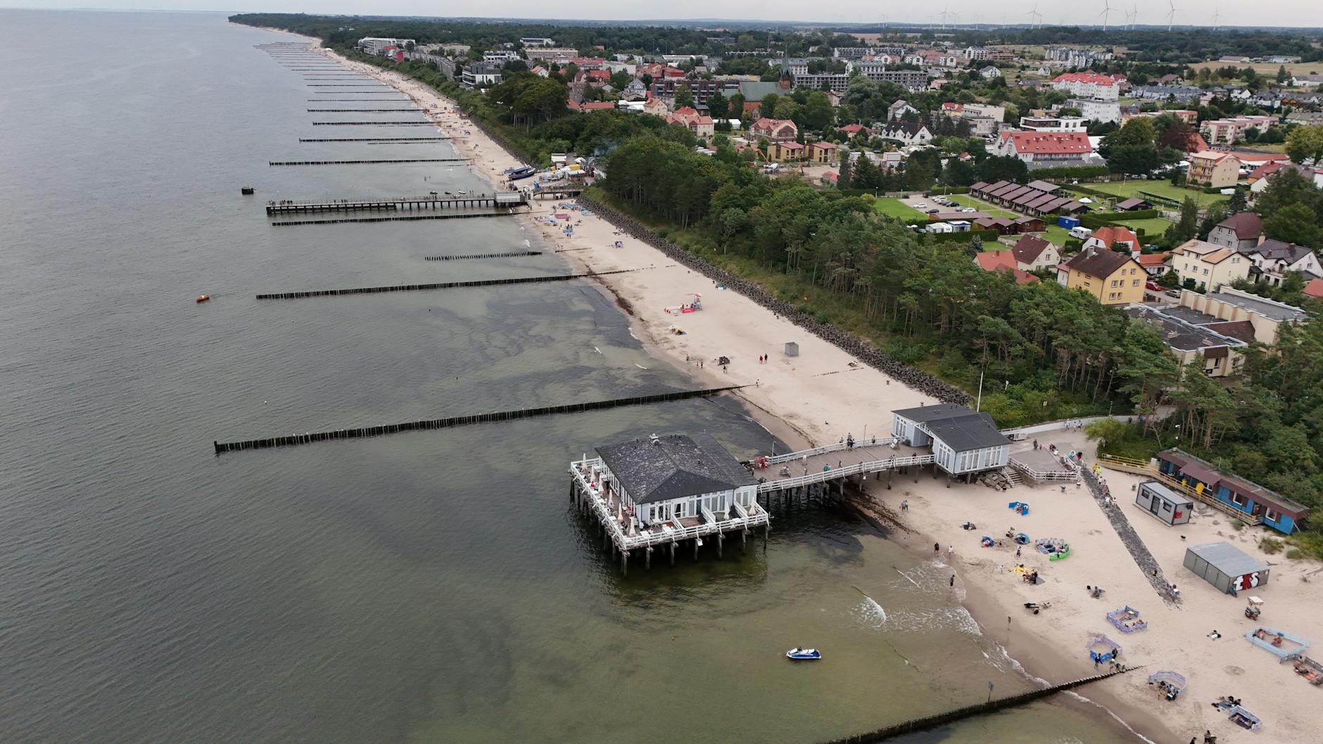 Szczecin: Kongres Morski i ekologiczna akcja na Dębinie