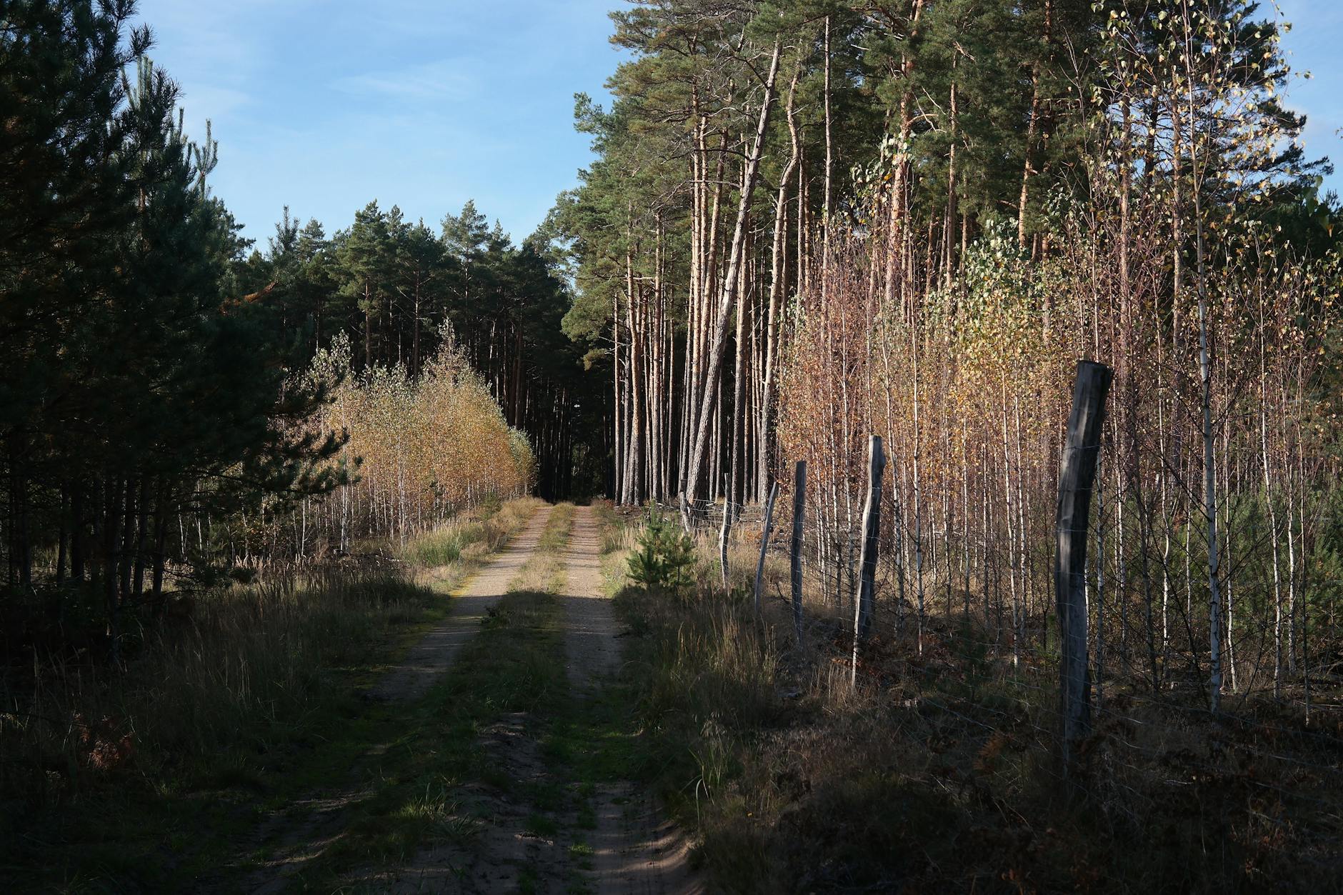 Strażacy gaszący pożar lasu i młodzi uczniowie prezentujący projekt - symboliczne obrazy wyzwań i sukcesów Szczecina