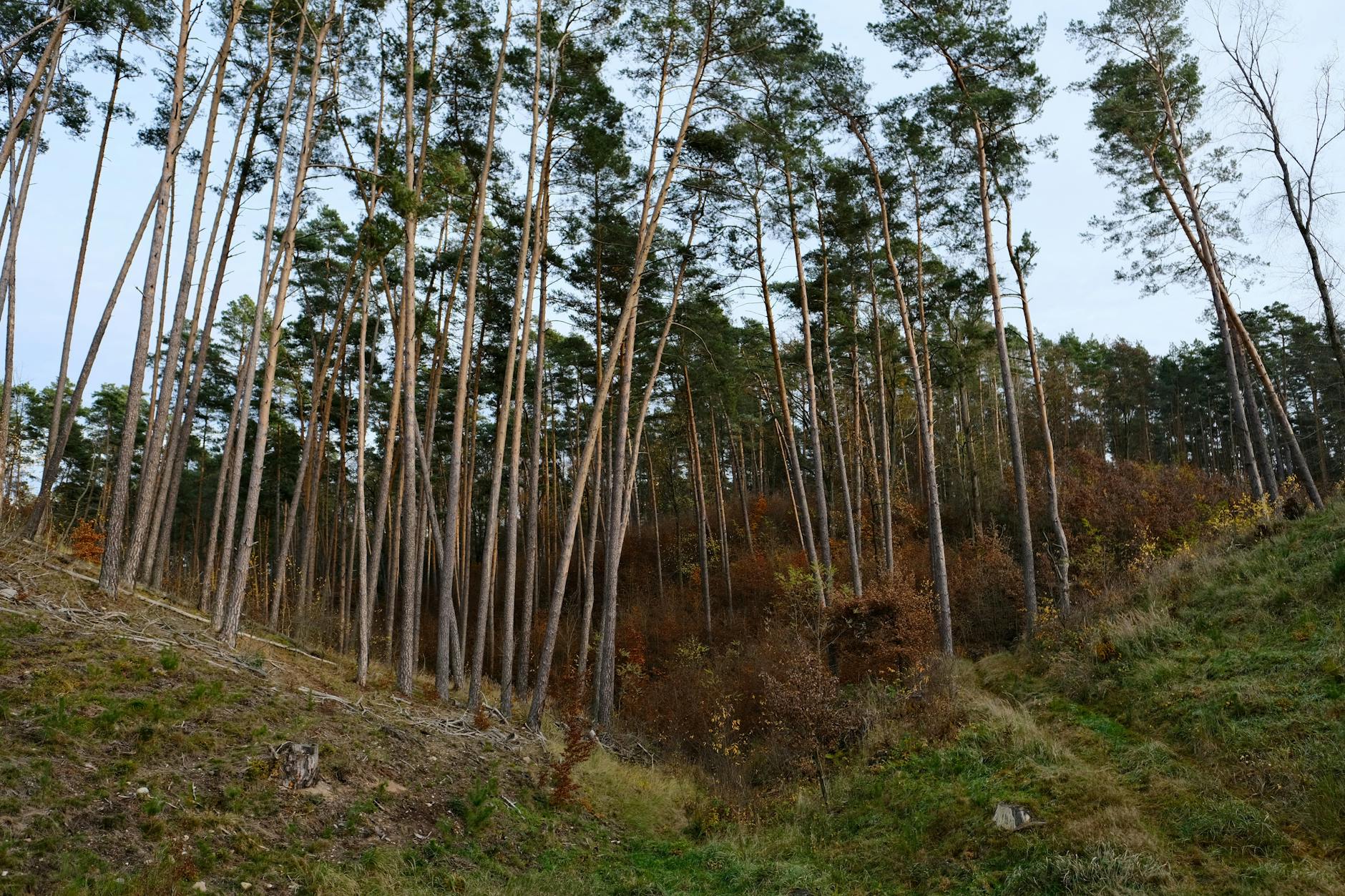 Kontrastujące oblicza Szczecina: wypadek na drodze i nowoczesna katedra uniwersytecka